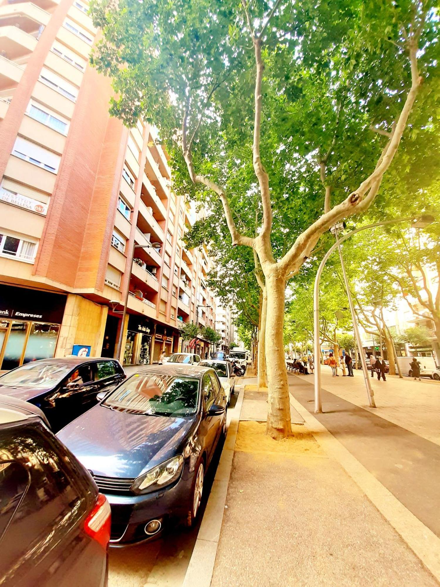 Tarragonaapartments Prim 350 レウス エクステリア 写真